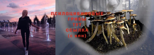 ПСИЛОЦИБИНОВЫЕ ГРИБЫ Новокубанск