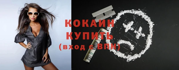 прущий лед Новозыбков