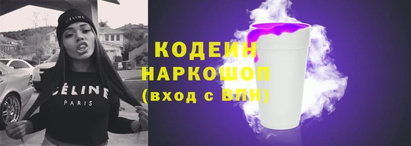 прущий лед Новозыбков
