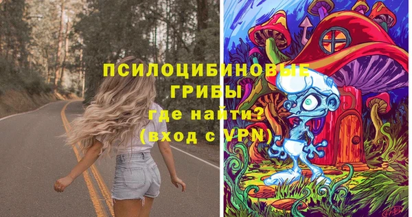 ПСИЛОЦИБИНОВЫЕ ГРИБЫ Новокубанск