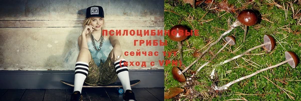 ПСИЛОЦИБИНОВЫЕ ГРИБЫ Новокубанск