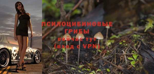 каннабис Новодвинск