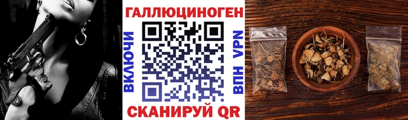 даркнет Telegram  Куровское  Галлюциногенные грибы мухоморы  mega ONION 